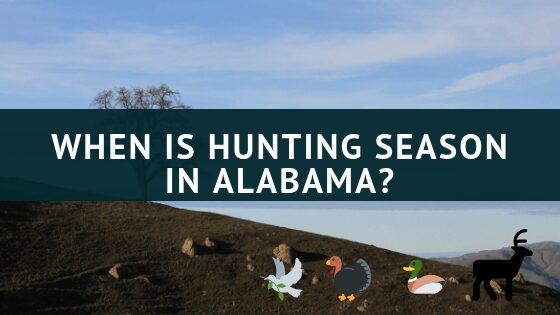 When is hunting season in Alabama