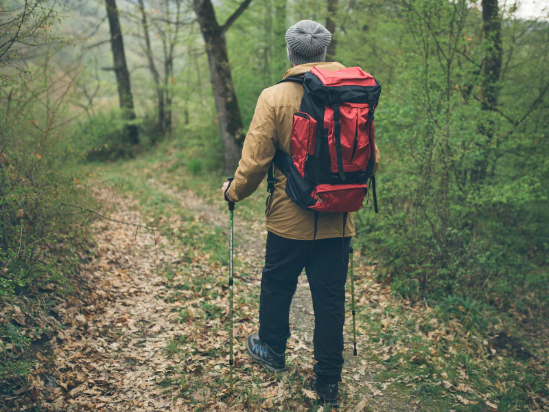 The Benefits of Hiking and Trekking: Why It’s More Than Just a Walk in ...