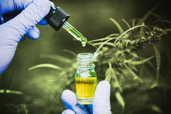 Delta 9 Distillate - Cannabis Extract You Need to Try