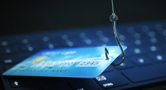 Safeguarding Personal and Financial Information During Transactions
