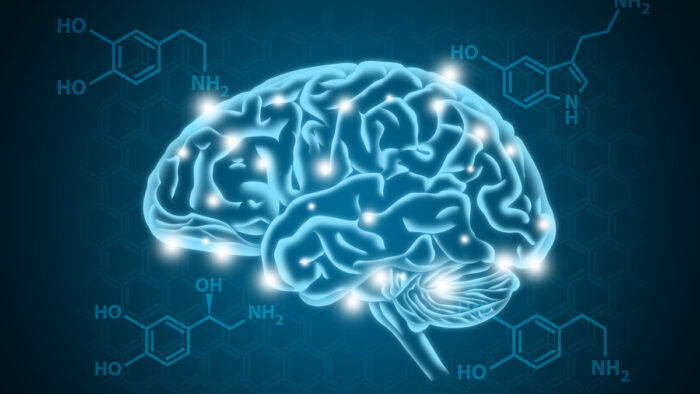 Dopamine and Reward Pathways