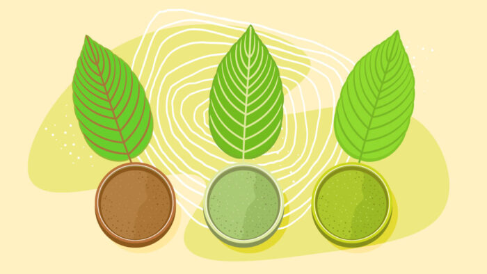 Understanding Kratom Strains